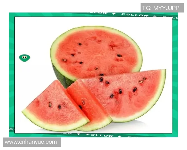 李芳独家分享排球心得与技巧助你提升球技的全面指南