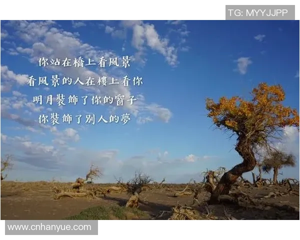 王军的DOTA2人生探索：从新手到职业选手的心路历程与成长故事